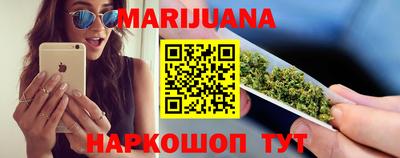 крисы Гай