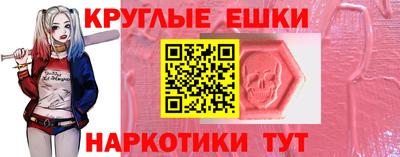крисы Гай