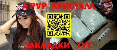 крисы Гай