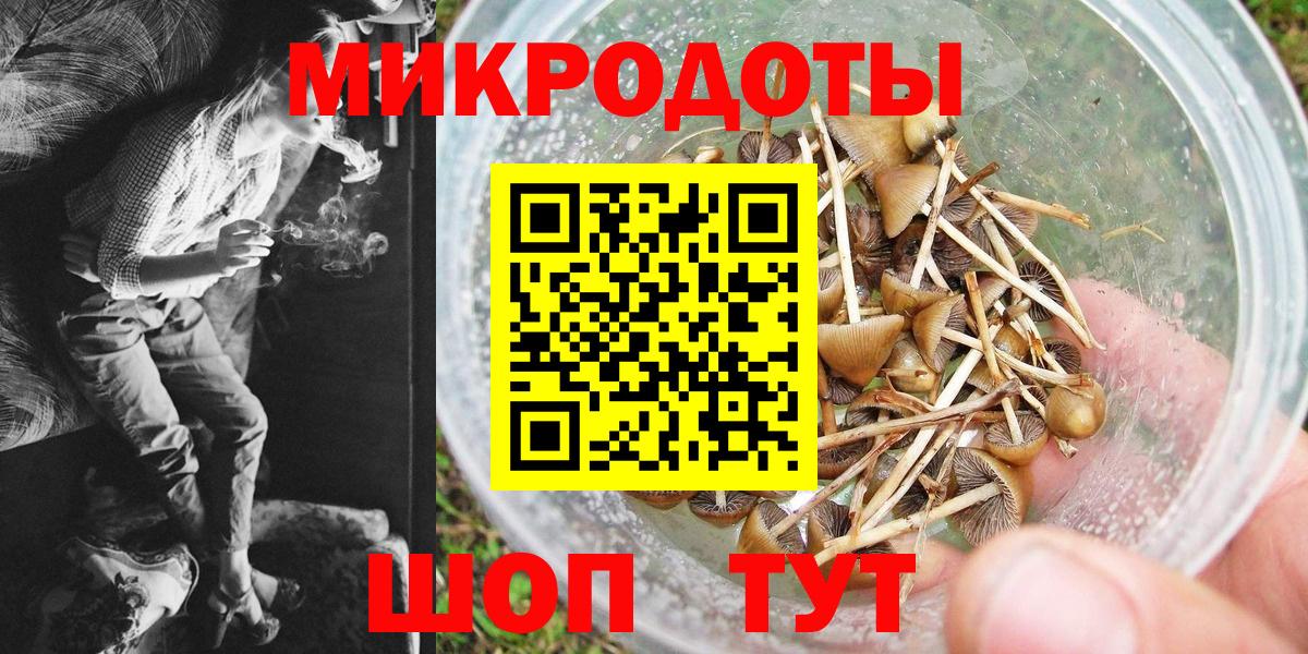 Псилоцибиновые грибы GOLDEN TEACHER  купить  цена  Вольск  Вход с VPN  Галлюциногенные грибы GOLDEN TEACHER 