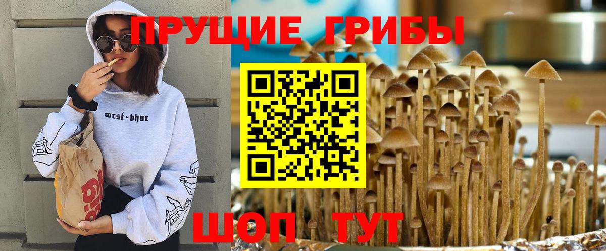 Галлюциногенные грибы GOLDEN TEACHER Вольск